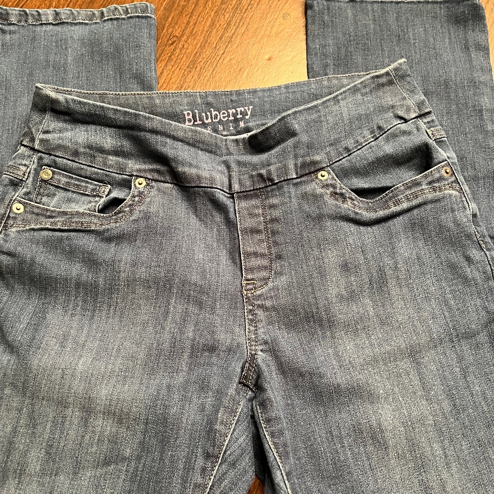 Blueberry mid-rise pull-on size 12 jeans